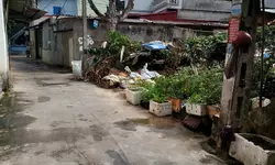 chỉ 3.xx tỷ có ngay căn nhà đẹp, vừa ở, kinh doanh sầm uất-anh-2