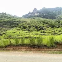 Cần bán lô đất rộng 854m2, View Sông Miện, lưng tựa núi-anh-11