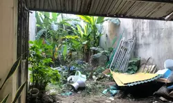 Cần bán lô đất rộng 854m2, View Sông Miện, lưng tựa núi-anh-12
