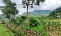 Cần bán lô đất rộng 854m2, View Sông Miện, lưng tựa núi-anh-13