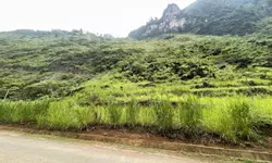 Cần bán lô đất rộng 854m2, View Sông Miện, lưng tựa núi-anh-18