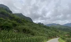 Cần bán lô đất rộng 854m2, View Sông Miện, lưng tựa núi-anh-19