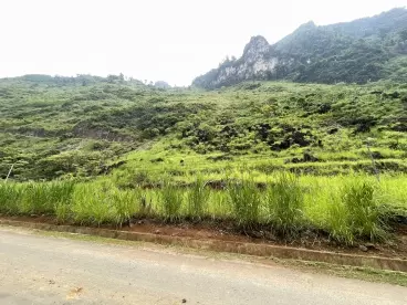 Cần bán lô đất rộng 854m2, View Sông Miện, lưng tựa núi-anh-5