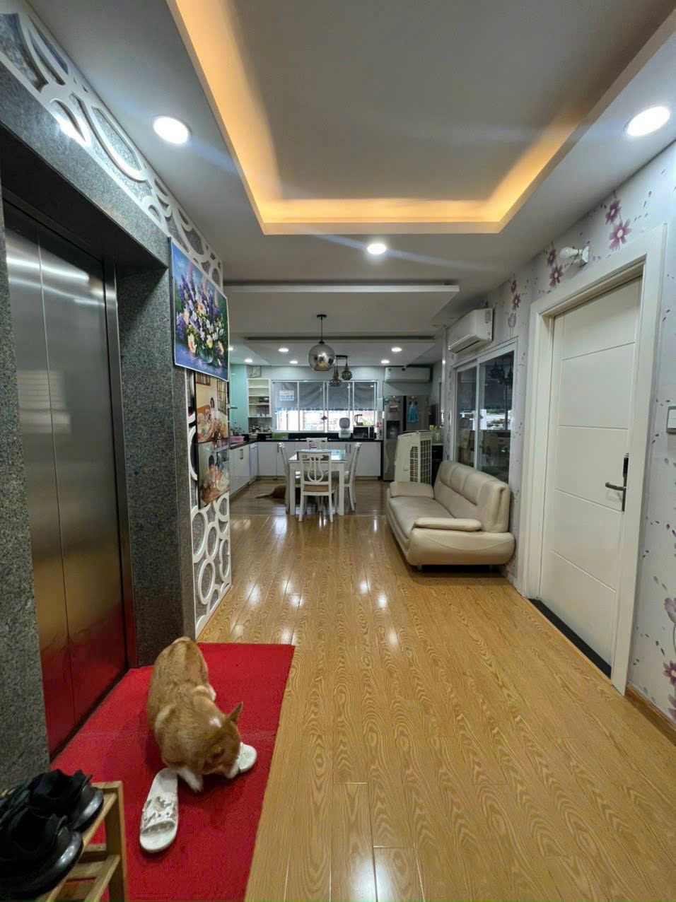 Bán Nhà Hẻm Đường Đào Duy Anh, P9, Q. Phú Nhuận - 7.6m x 19m - 24 Tỷ-anh-8