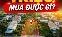 Dự án đất nền tạo lạc đường Nguyễn Hữu Trí ngay khu dân cư hiện hữu-anh-1