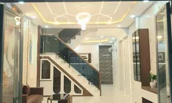 Cần bán đất nhanh ăn tết có 10 lô ở Lạc Long Quân gần ngay Đường Lý Thường Kiệt(700m)-anh-3