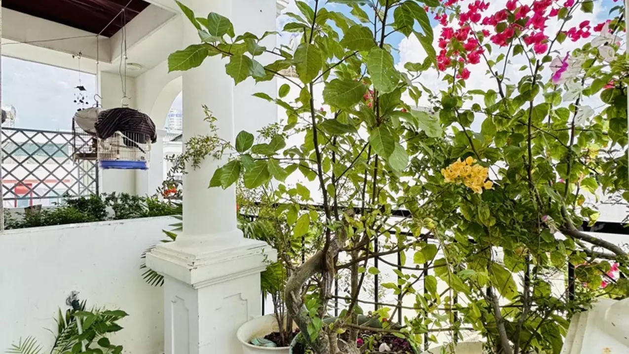 Bán nhà Hoàng Hoa Thám, Bình Thạnh, 4 tầng, 61m2 nở hậu, chỉ 8.4 tỷ-anh-19