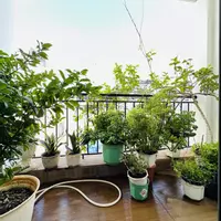 Bán nhà Hoàng Hoa Thám, Bình Thạnh, 4 tầng, 61m2 nở hậu, chỉ 8.4 tỷ-anh-37