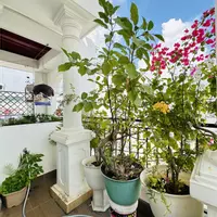 Bán nhà Hoàng Hoa Thám, Bình Thạnh, 4 tầng, 61m2 nở hậu, chỉ 8.4 tỷ-anh-38