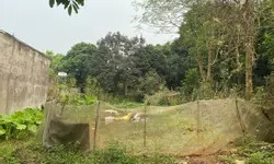 Bán biệt ô đất thự trục đường chính dự án Riverview - Lương Sơn - Hòa Bình.-anh-17