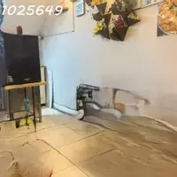 Bán Nhà HXH Quốc Lộ 13, Hiệp Bình Phước, Thủ Đức, TP HCM, 4.8 tỷ-anh-10