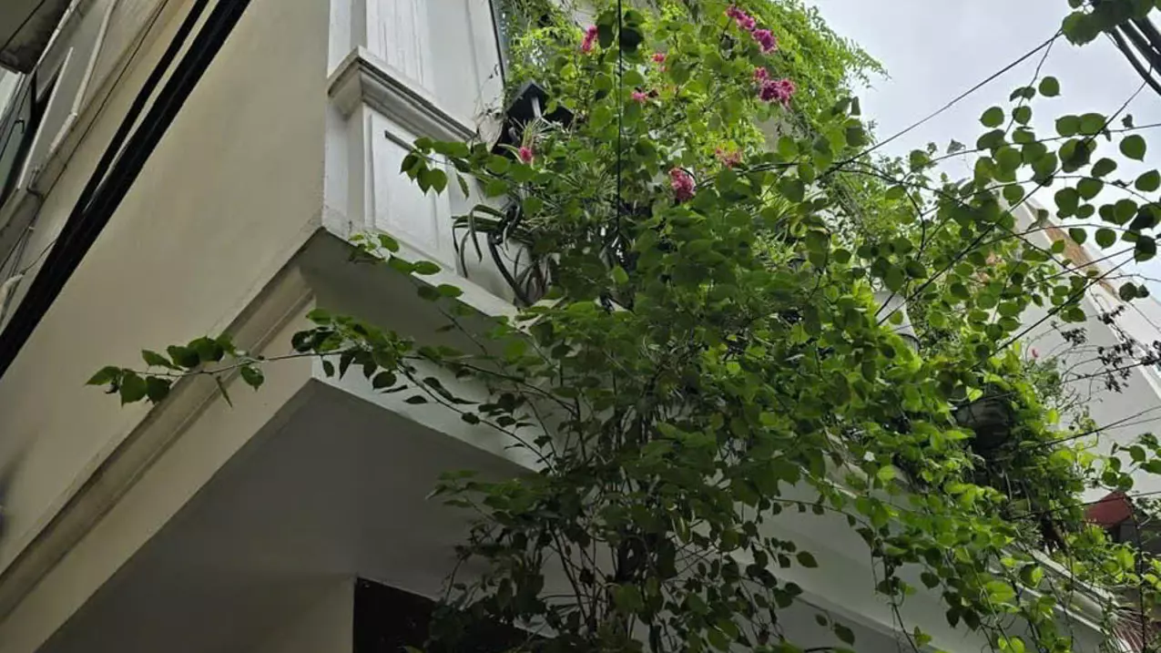 BÁN NHÀ KHU 72HA - VĨNH PHÚC 28M2 - 5TẦNG - HƠN 3TỶ - 20M RA Ô TÔ - DÂN TRÍ CAO-anh-1