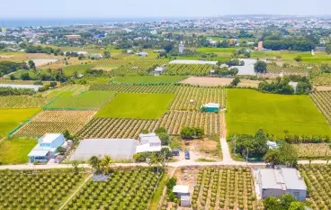 ĐẤT BIỂN TUY PHONG BÌNH THUẬN GIÁ CHỈ 750TRIỆU-anh-1