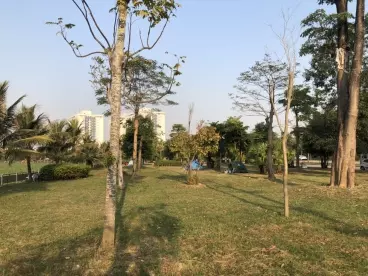 Bán gấp lô liền kề B1.1 KĐT Thanh Hà Mường Thanh Cienco 5 giá rẻ nhất-anh-1