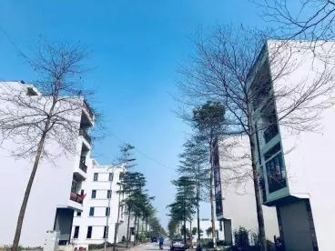 Bán gấp lô liền kề B1.1 KĐT Thanh Hà Mường Thanh Cienco 5 giá rẻ nhất-anh-2
