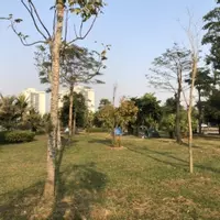 Bán gấp lô liền kề B1.1 KĐT Thanh Hà Mường Thanh Cienco 5 giá rẻ nhất-anh-5