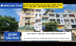 KHÁM PHÁ 4 TỔ HỢP TIỆN ÍCH ĐẶC SẮC TẠI ELYSIAN-anh-19
