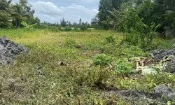 KHU DÂN CƯ QUỐC VIỆT 2-anh-5