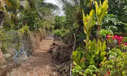 KHU DÂN CƯ QUỐC VIỆT 2-anh-8