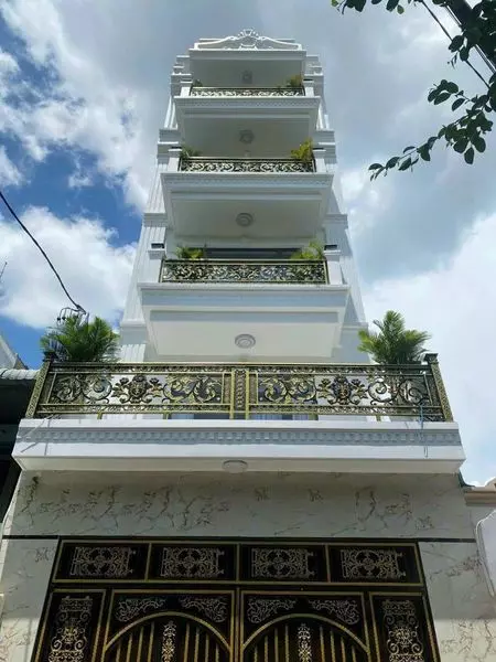Bán nhà mặt tiền 5 tầng 5x20m giá 11 tỷ Đường Tân Thới Hiệp14,LH0919781159-anh-1