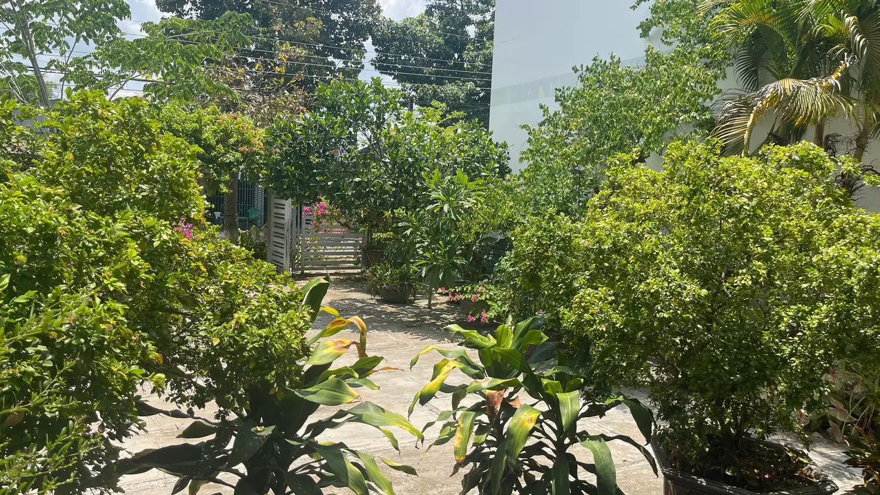 Bán Nhà mặt tiền Đinh Bộ Lĩnh -  Phước Hội - LaGi giá rẻ nhất chính chủ-anh-4
