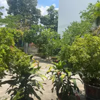Bán Nhà mặt tiền Đinh Bộ Lĩnh -  Phước Hội - LaGi giá rẻ nhất chính chủ-anh-9