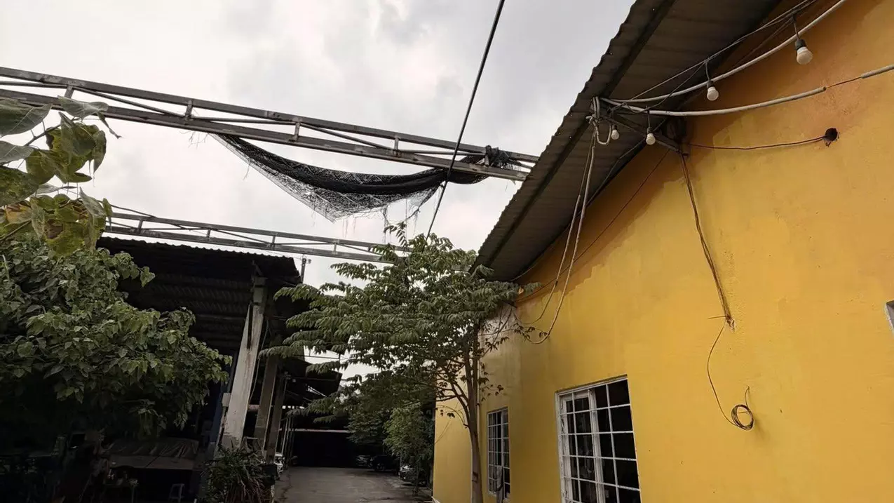 Bán nhà Mặt tiền Tô Vĩnh Diện. ngay Vincom Thủ Đức, 29x70m, Cấp 4 - HĐT 150 tr, 200 Tỷ.-anh-5