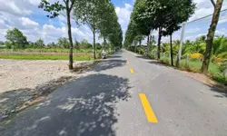 Bán nhà mt liên xã Long Định - Long Cang, xã Long Định,dt 300m2 full thổ 2pn 2wc giá 3 tỷ-anh-22