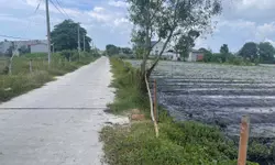 Sưu tập quỹ đất thổ cư hiếm hoi tại xã Tuy Phong, Bình Thuận-anh-11