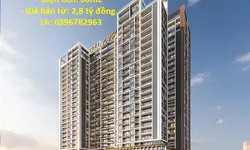 Cặp góc khe thoáng Hồ Công Dự - Bích Động, 192m2, sổ đỏ sang tên ngay.-anh-13