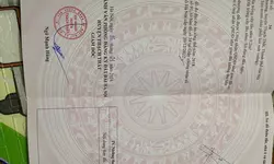 Bán nhà Văn Quán, chủ nhà giảm sốc 6 tỷ 2 còn 5 tỷ 3, Ngõ thông rộng, vị trí đắc địa-anh-18