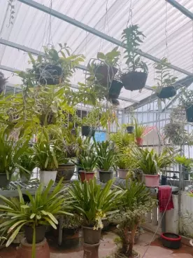 Bán nhà Văn Quán, chủ nhà giảm sốc 6 tỷ 2 còn 5 tỷ 3, Ngõ thông rộng, vị trí đắc địa-anh-3