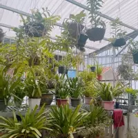 Bán nhà Văn Quán, chủ nhà giảm sốc 6 tỷ 2 còn 5 tỷ 3, Ngõ thông rộng, vị trí đắc địa-anh-7