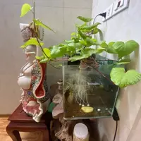 Bán nhà ngõ 419 Phan Trọng Tuệ, 60m2 KD được, ô tô tải qua, 3 tầng, 3.9 tỷ-anh-11