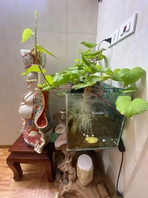Bán nhà ngõ 419 Phan Trọng Tuệ, 60m2 KD được, ô tô tải qua, 3 tầng, 3.9 tỷ-anh-4