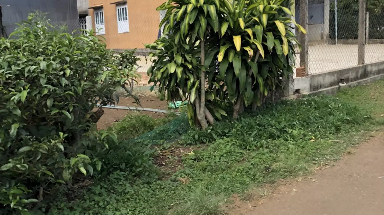 Chủ ngộp cần bán lô đất mặt tiền đường nhựa giá rẻ nhất khu vực Lộc An-anh-1