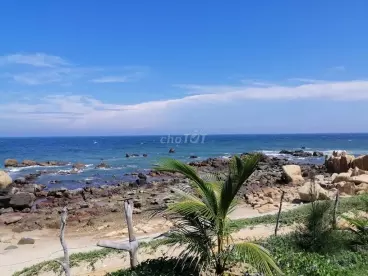 Sổ đỏ trao tay - Cơ hội vàng sở hữu lô đất nền biển Bình Thuận - Giả chỉ 700 Triệu-anh-1