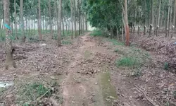 Căn hộ trung tâm TP Thuận An 1 tỷ/căn-anh-5