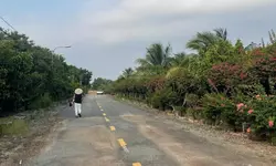 Chính chủ cần bán căn hộ Masteri Parkland 2PN, full nội thất, view đẹp chỉ 7 tỷ 500-anh-15