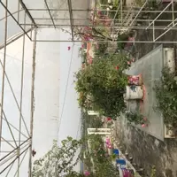 Cho thuê nhà mặt đường, nhà 50m2x4 tầng + 50m2 sân vườn, nhà mới, điện, nước đầy đủ-anh-13