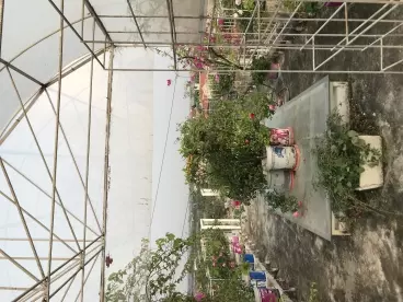 Cho thuê nhà mặt đường, nhà 50m2x4 tầng + 50m2 sân vườn, nhà mới, điện, nước đầy đủ-anh-7
