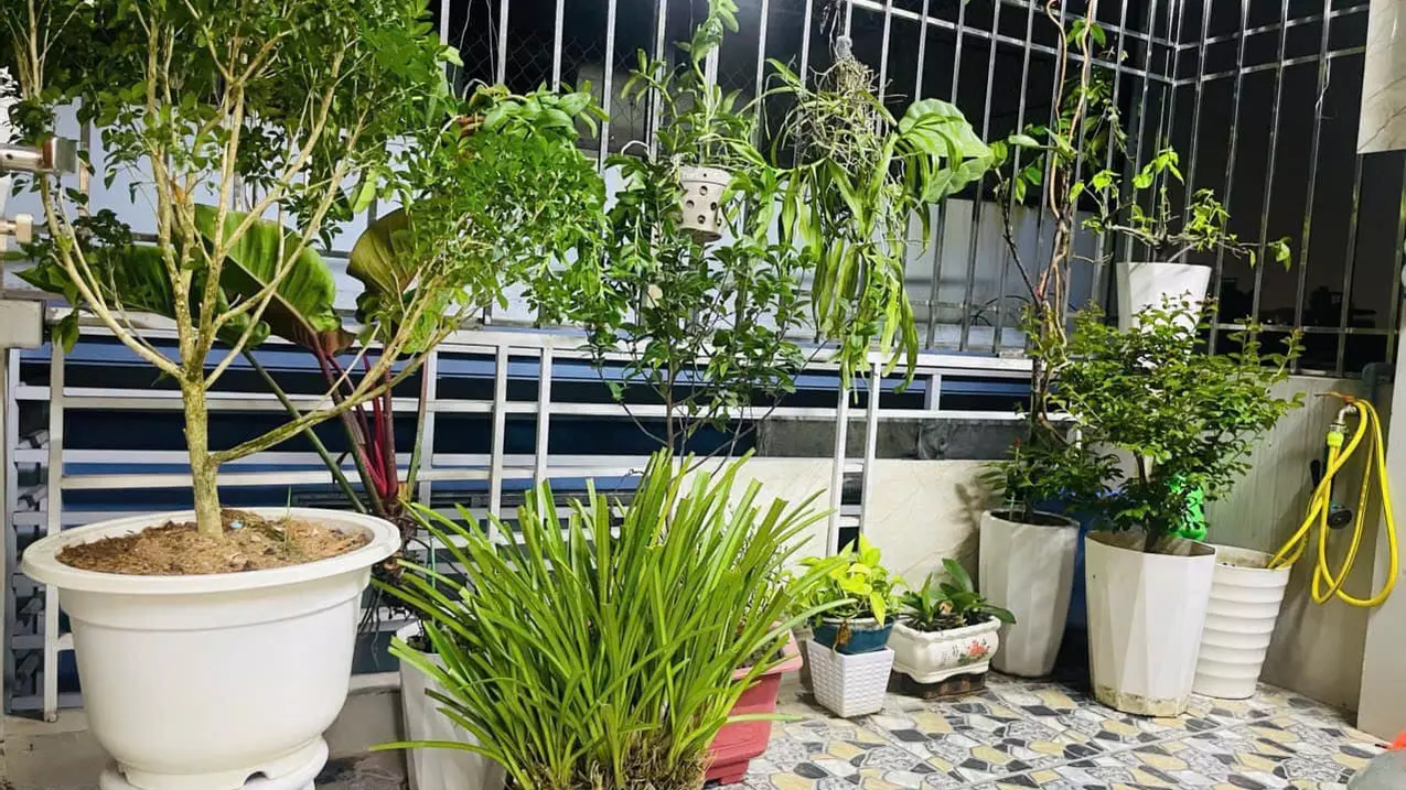 Bán nhà phố Trương Định, Hoàng Mai 32m, 5 tầng. Giá: 6.1 tỷ-anh-4