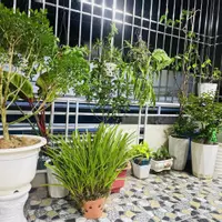 Bán nhà phố Trương Định, Hoàng Mai 32m, 5 tầng. Giá: 6.1 tỷ-anh-7