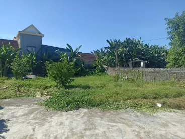 Bán Đất ở Đi nước ngoài diện tích 194m2 Diễn châu gần cầu bà-anh-2