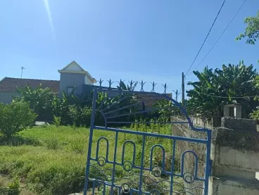 Bán Đất ở Đi nước ngoài diện tích 194m2 Diễn châu gần cầu bà-anh-3