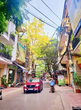 Bán nhà 3 tầng 49m2 hướng Tây mặt đường Lam Sơn, Lê Chân, Hải Phòng-anh-3
