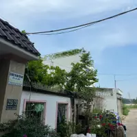Bán nhà riêng bao gồm nhà yến đang hoạt động diện tích 483,2m2 ngay trung tâm thành phố Thủ Dầu Một-anh-5