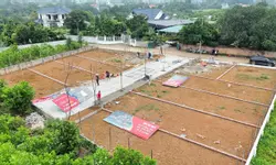 BÁN NHÀ RIÊNG ĐẠI TỪ HOÀNG MAI - NHÀ ĐẸP Ở NGAY - AN NINH TUYỆT ĐỐI - TIỆN ÍCH ĐẦY ĐỦ-anh-5
