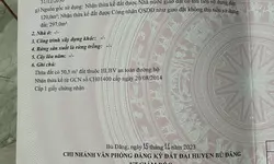 Bán gấp lô thổ cư 272m2 ở ngay Uỷ ban xã Tân Hưng giá 400tr thu hồi vốn-anh-2