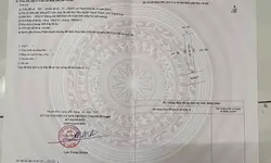Bán nhà thổ cư, chính chủ diện tích 300m2 - Quốc lộ 1A Chợ Đón Hải Châu-anh-6